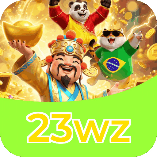 Interface 23wz